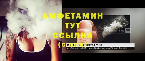 гидра Нея