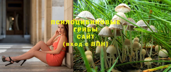 мдпв Нефтегорск