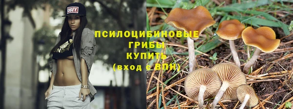 мдпв Нефтегорск