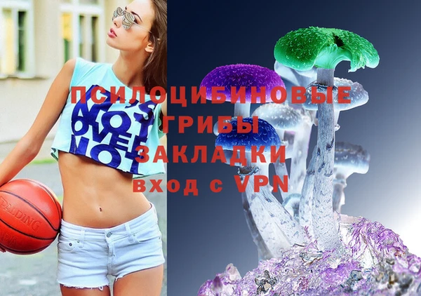 стафф Весьегонск