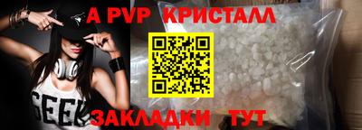 дживик Гай