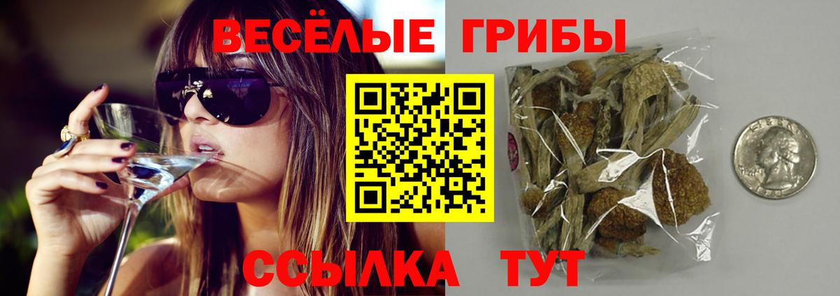 Советский  Псилоцибиновые грибы Psilocybe  Вход с VPN 